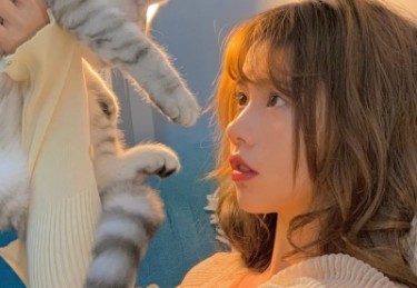 91网 - 91官网在线平台 - 高清视频与最新影视资源更新