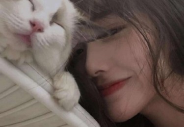 51视频网站导航 - 全网吃瓜爆料与高清在线观看汇总