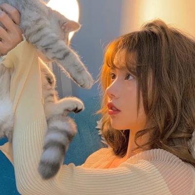 91网 - 91官网在线平台 - 高清视频与最新影视资源更新